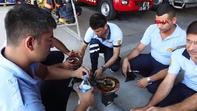 Boruya sıkışan yavru kediyi itfaiye kurtardı