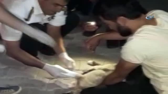 Hastane Personeli Ayağı Kırık Köpek İçin Seferber Oldu