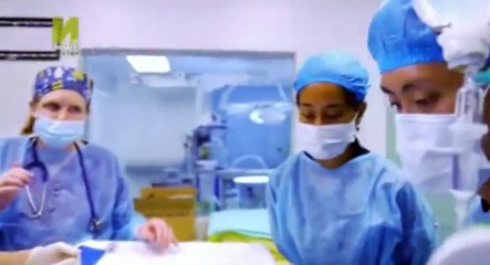 Animal Emergency S01 - Ep01 Macaque Monkey, Race Horse HD Watch