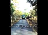 Sloth Bear attacks tourist vehicle in Bangalore gets stuck atop it