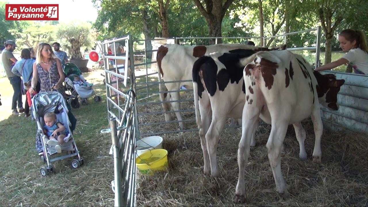 «Sous les pavés, les prés» à Rodez-Plage