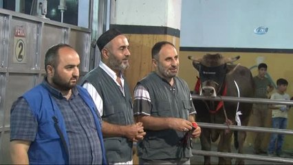 Monoray Sistem ile 4 Dakikada Kurban Kesimi