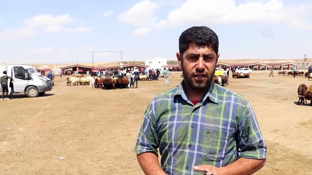 Kurban pazarlarında arife hareketliliği - AĞRI