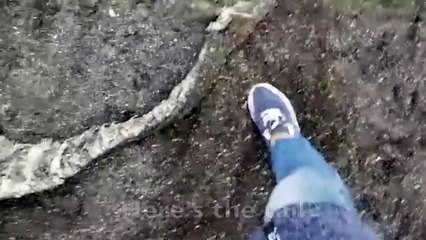 "وحش البحر" كائن غريب ظهر على هذا الشاطئ