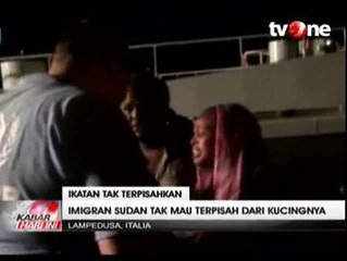 Tiba di Italia, Imigran Sudan Tak Mau Dipisahkan dari Kucingnya