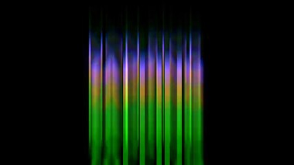 Normandie : Un chien sauve une petite fille de la noyade (Vidéo)