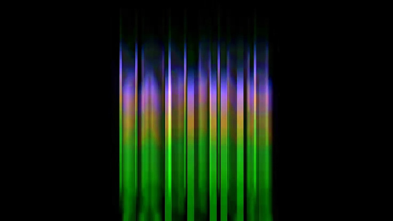 Normandie : Un chien sauve une petite fille de la noyade (Vidéo)