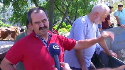 Çukura düşen kurbanlık tosun kurtarıldı - İSTANBUL