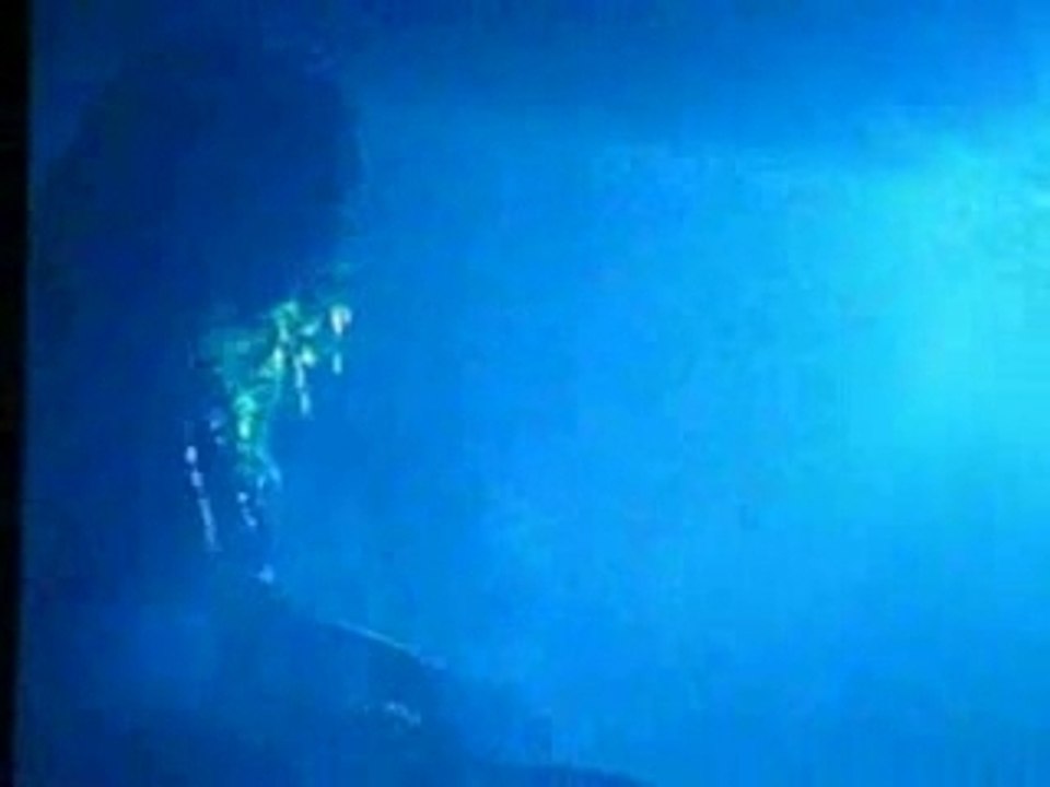 Vanessa Paradis - Bercy 2007 - Junior Suite