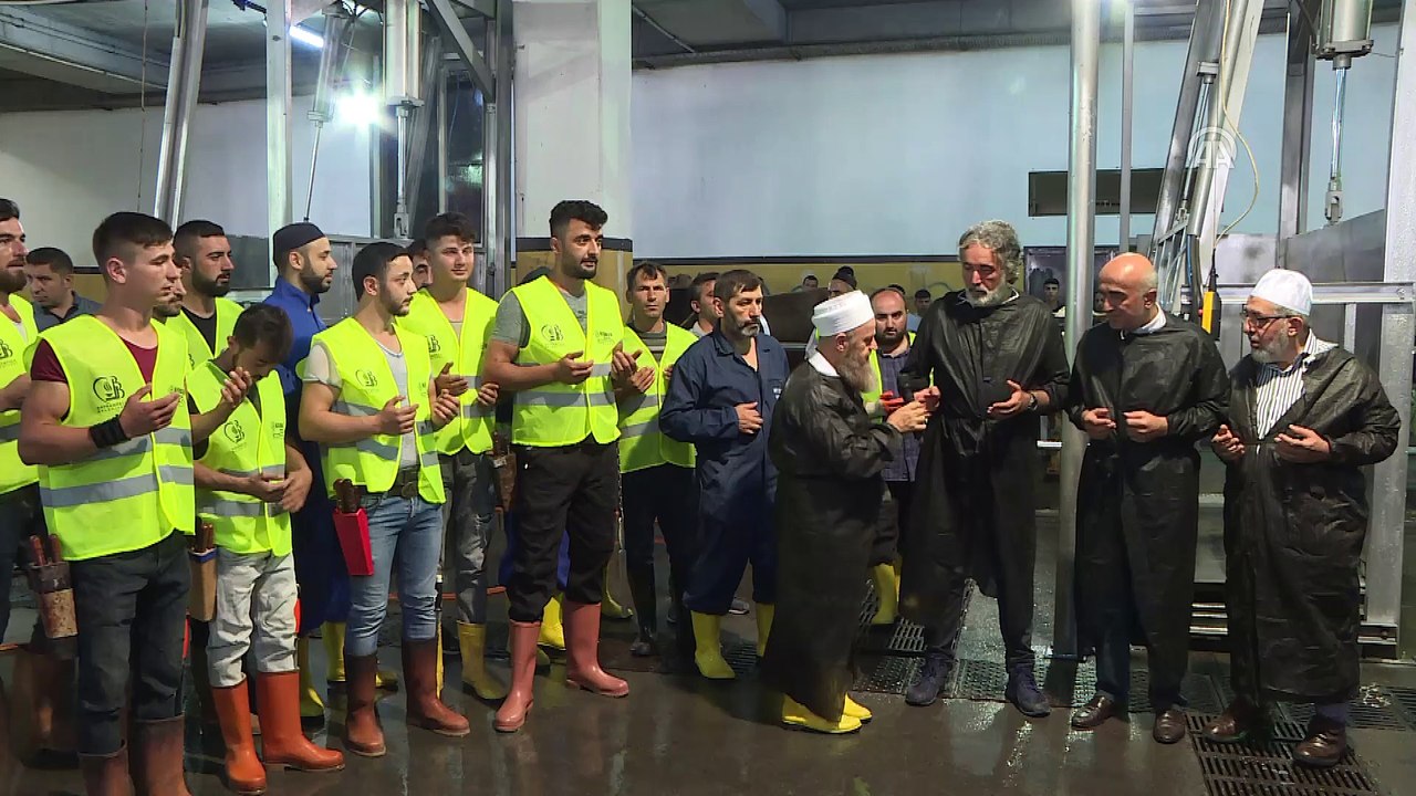 'Monoray' sistemiyle 4 dakikada büyükbaş kesimi - İSTANBUL