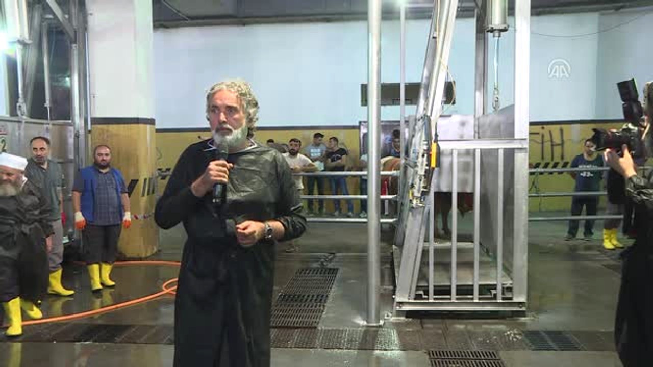 Monoray" Sistemiyle 4 Dakikada Büyükbaş Kesimi
