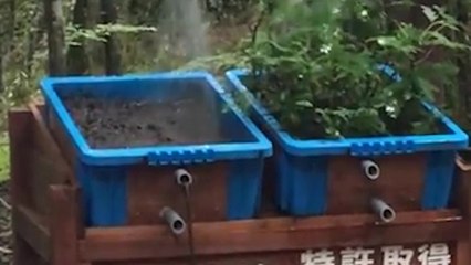 Une expérience qui montre l'impact de la déforestation sur les inondations