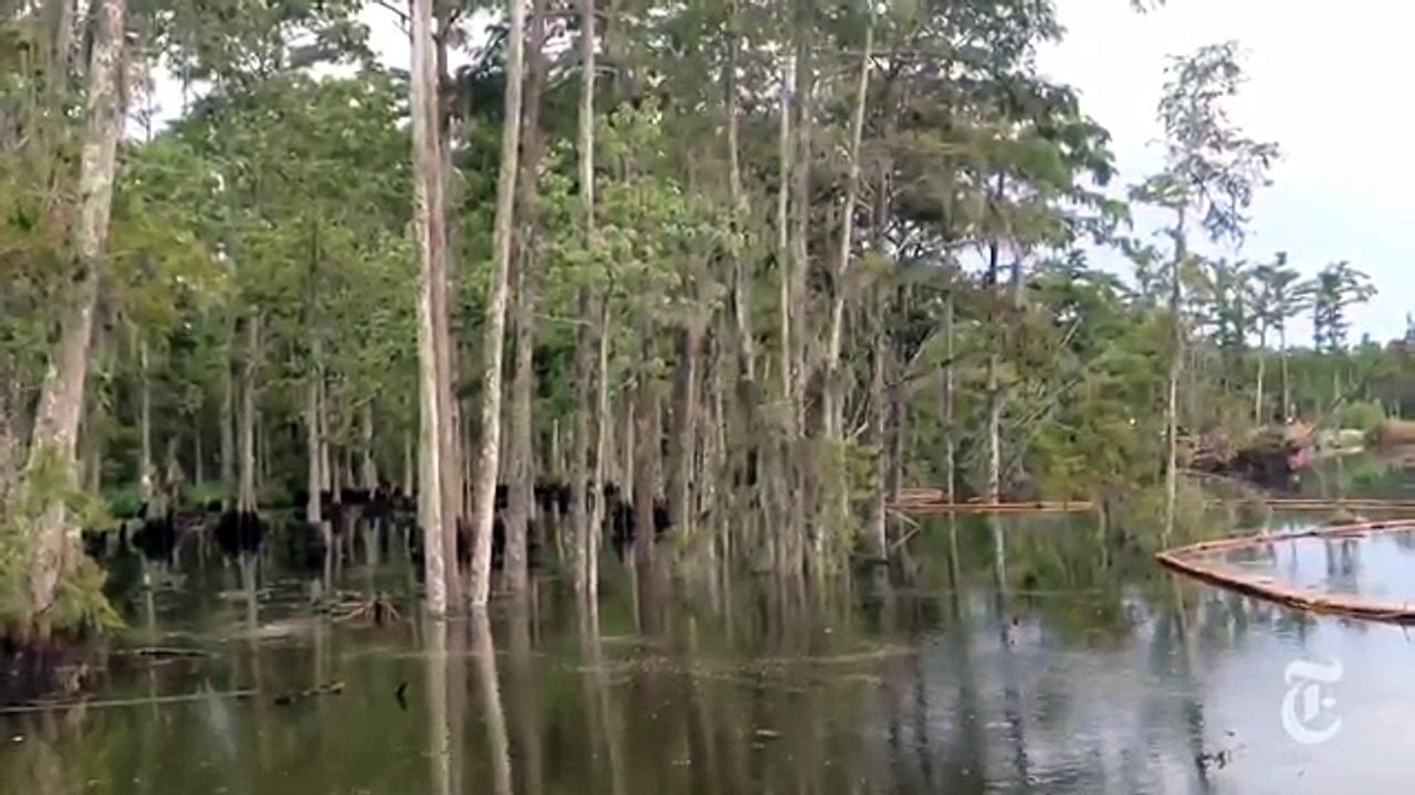 Un trou gigantesque dans l'eau avale tout autour de lui en Louisiane