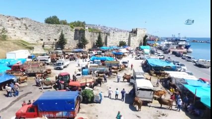 Sinop’ta Kurban Pazarındaki Son Gün Yoğunluğu