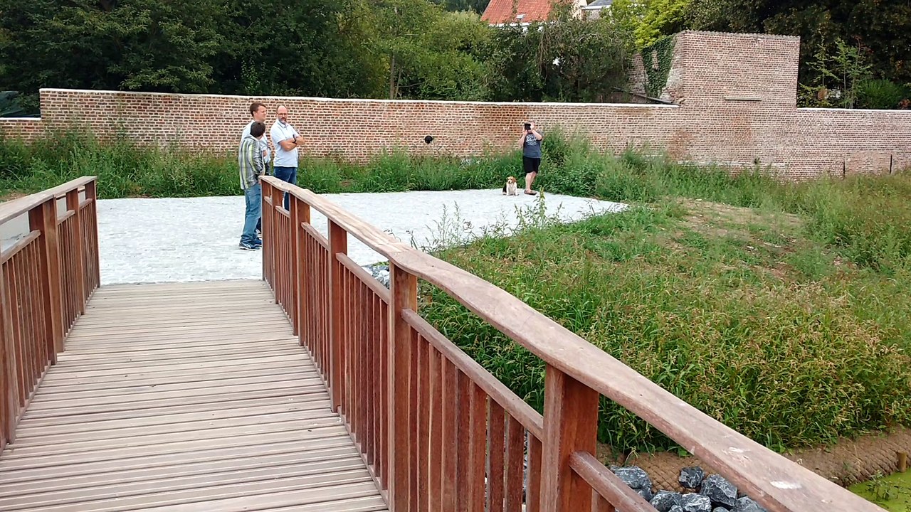 Hyon La Cascade Revit.Video 2 Eric Ghislain