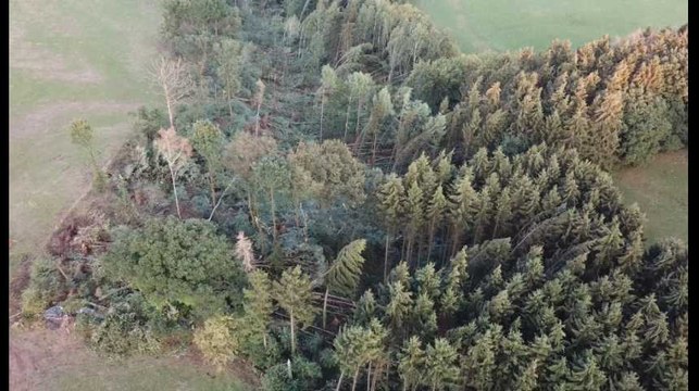 Les dégâts impressionnants causés par une mini-tornade à La Reid