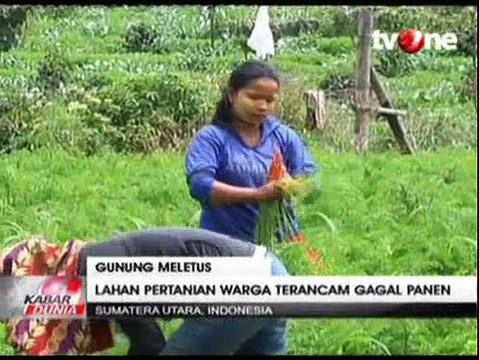 Aktivitas Gunung Sinabung Ancam Hasil Panen Warga