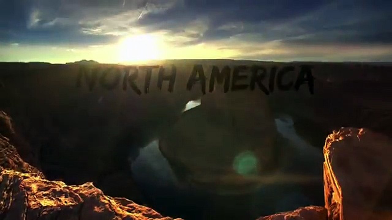 Gray Wolves Hunt Caribou | North America