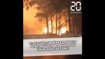 Etats-Unis: Un père et son fils se retrouvent bloqués dans un incendie de forêt