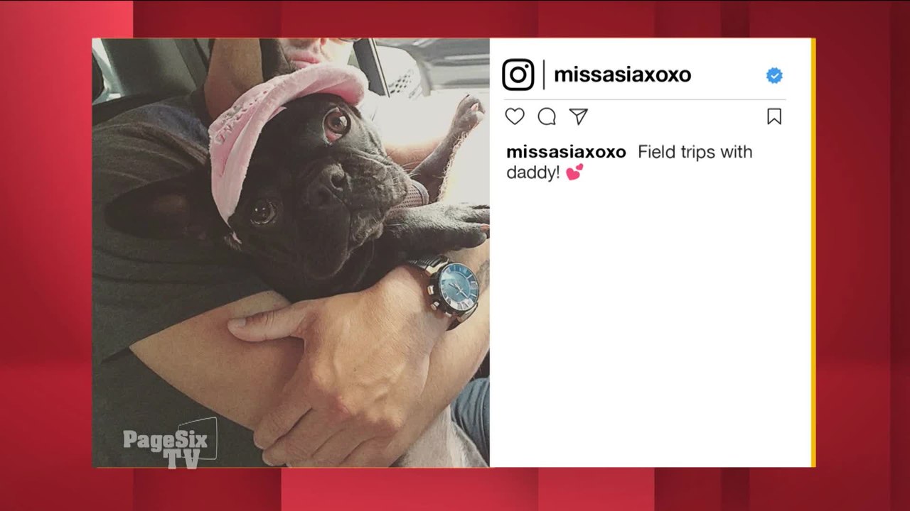 When celebs have a pet, they have to do more than just feed it. They have to have a feed for it! Meet @LadyGaga's dog #MissAsia and @Andy ‏Cohen's pup @TheRealWacha, today on #PageSixTV!