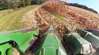 new PA corn harvest