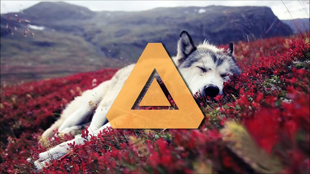 KSHMR Dogs (Original Mix) feat. Luciana