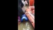 Kerala Floods  Kerala Flood Relief  इस Video को देखने के बाद केरला के लोगो के जस्बे को सलामी देने का मन करेगा | Kerala Floods and Flood relief help done by people of Kerala.