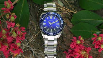 Seiko Prospex SRPC93 Dive Watch