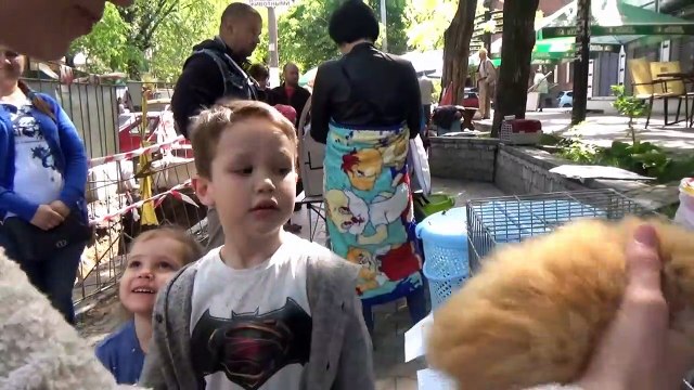 Кошечка Мурка покупаем питомца Максу и Кате ВЛОГ на рынке животных Kitten pet fo