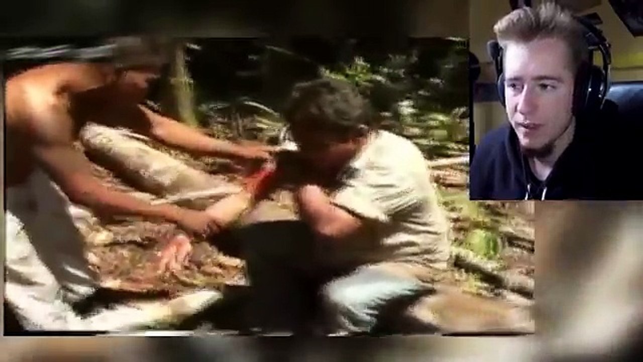 10 ATTAQUES CHOQUANTES DANACONDAS SUR DES HUMAINS FILMÉES EN DIRECT !