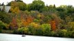 STUNNING Wildlife Nature Autumn Colors Minnesota !