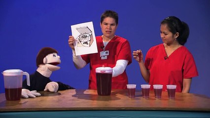 All About Blood | Kids Health | The Friday Zone | WTIU | PBS