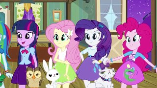 MY LITTLE PONY Equestria Girls and PETS Transforms into LITTLEST PET SHOP