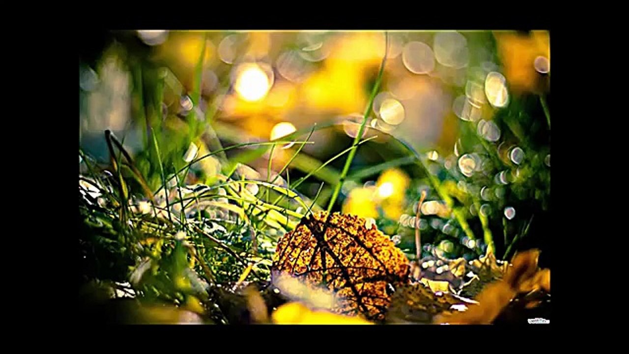 Mental Health: Fighting Depression with Affirmations Mental Health Recovery