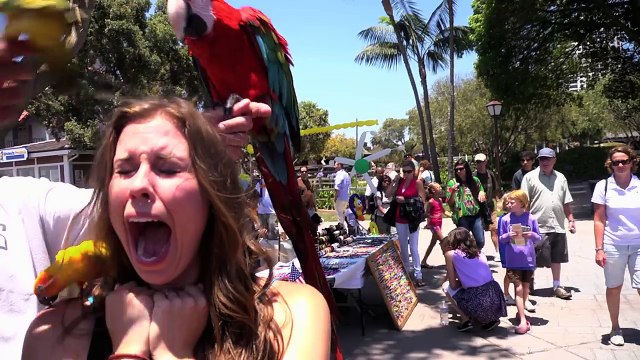 Good Time by Owl City and Carly Rae Jepsen, cover by CIMORELLI