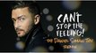 Justin Timberlake Cant Stop The Feeling (Daniel Siman Tov Remix)
