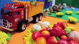 Farm Animals and Fruit Toys for Kids