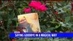 Indiana Community Says Goodbye to 11-Year-Old Girl with Harry Potter-Themed Funeral