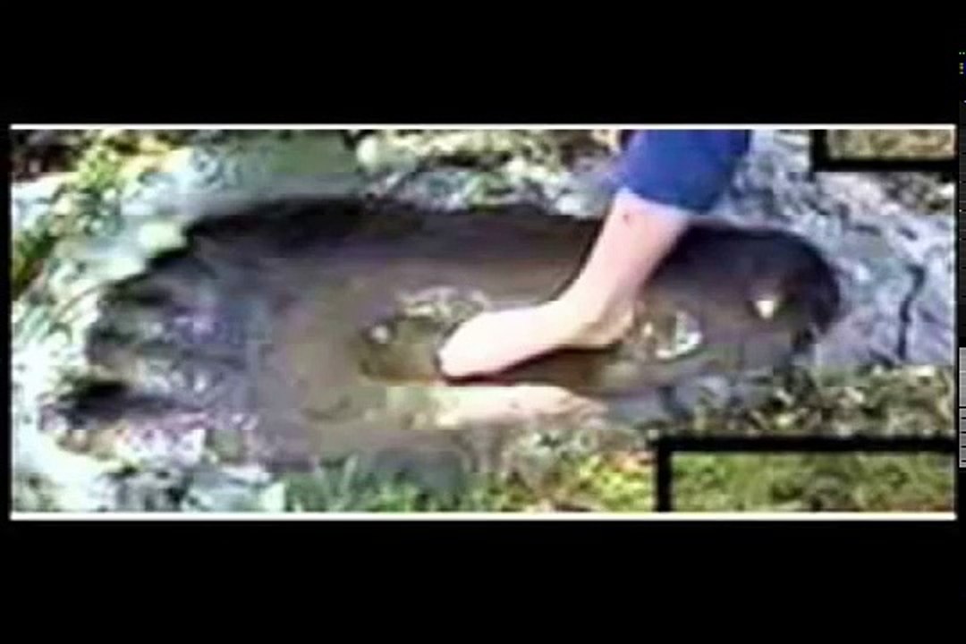 أطول عملاق فى التاريخ من هو وما قصته