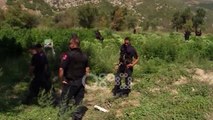 Ora News - Korçë, goditet grupi kriminal i kultivimit të drogës, 7 në pranga