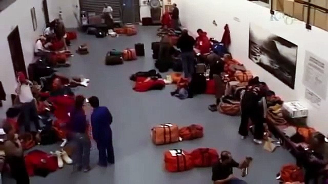 How Life Lives in the Coldest Oceans : Documentary Life in the Antarctic Ocean Bottom