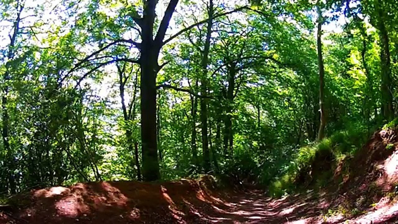 Find Your Life Purpose. GUIDED MEDITATION