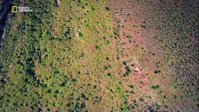 SIRA DISI BİR KAYA 6 - HAYATTA KALMA (Belgesel)