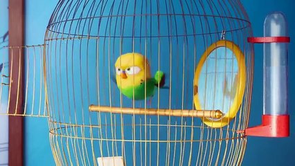 THE SECRET LIFE OF PETS Charers Trailer