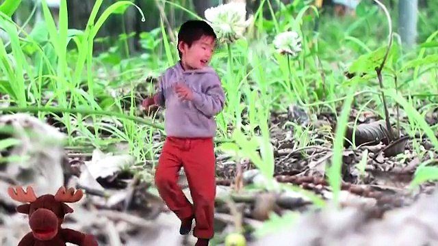 Learn Forest Animals for Kids | What Is It? Game for Kids | Maple Leaf Learning