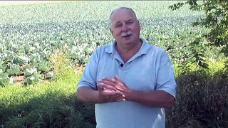 Planting & Harvesting Vegetable Crops Video