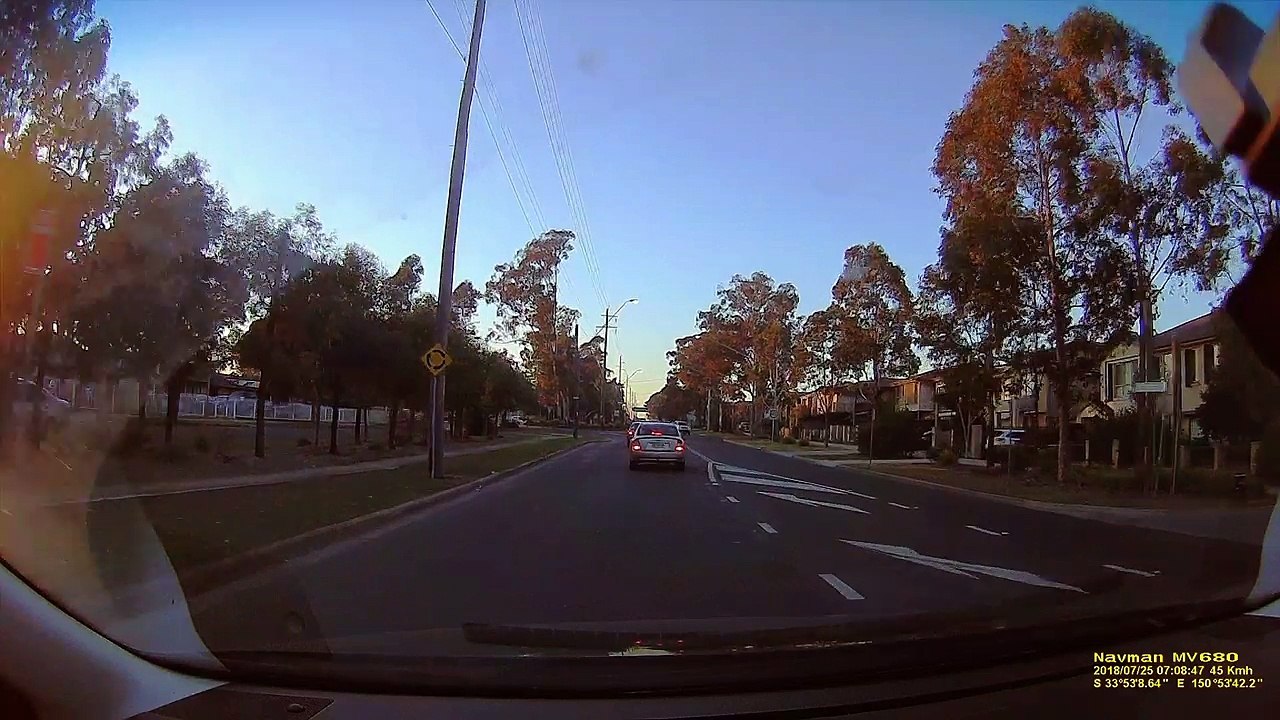 Magpie Coming at Ya