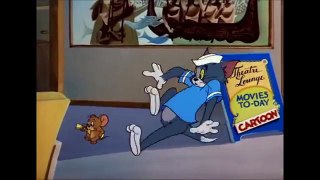 Tom and Jerry, 71 Episode Cruise Cat (1952)