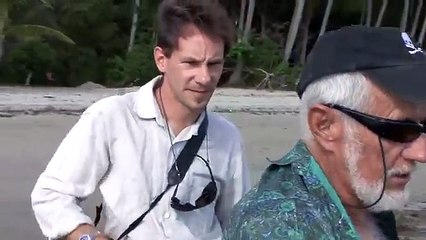 Stung by a Box Jellyfish