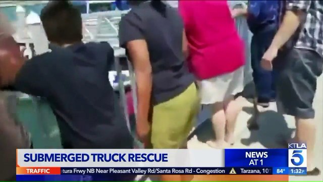Video Shows Rescue of Mother, Son and Dog After Vehicle Plunges into California Marina